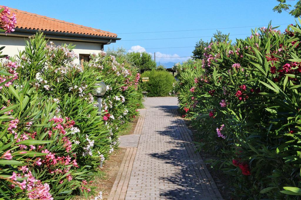 Agriturismo Gli Etruschi Populonia Exterior foto