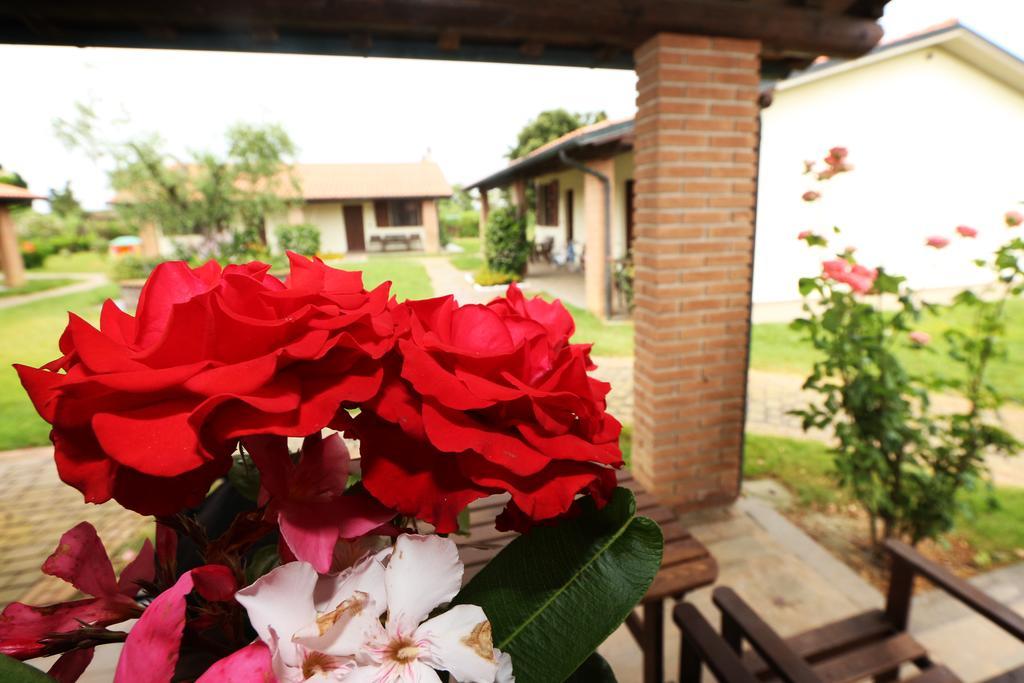Agriturismo Gli Etruschi Populonia Habitación foto